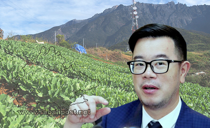 Kundasang Akan Jadi Pengeksport Pelbagai Jenis Sayur Sayuran Junz Sabah Post